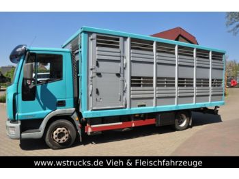 Φορτηγό μεταφορά ζώων Iveco 10180: φωτογραφία 1