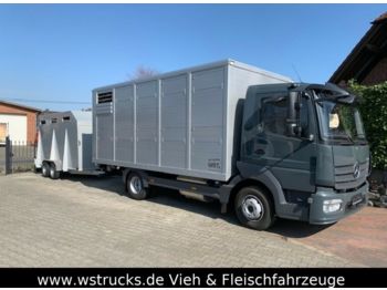 Φορτηγό μεταφορά ζώων για τη μεταφορά ζώων Mercedes-Benz 821L" Neu" WST Edition" Menke Einstock Vollalu: φωτογραφία 1