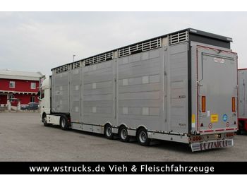 Επικαθήμενο μεταφορά ζώων Pezzaioli SBA31-SR  3 Stock  Vermietung: φωτογραφία 1