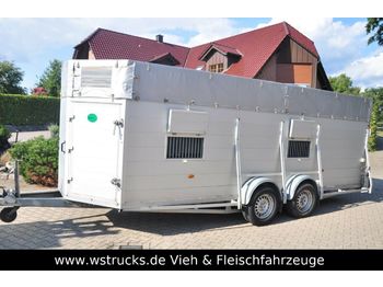 Blomert Einstock Vollalu 5,70 m  - Ρυμούλκα μεταφορά ζώων