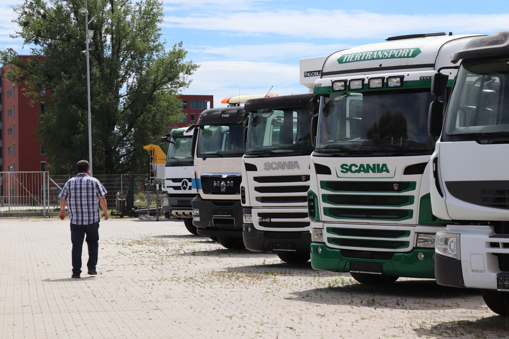 Donau Trucks GmbH undefined: φωτογραφία 3